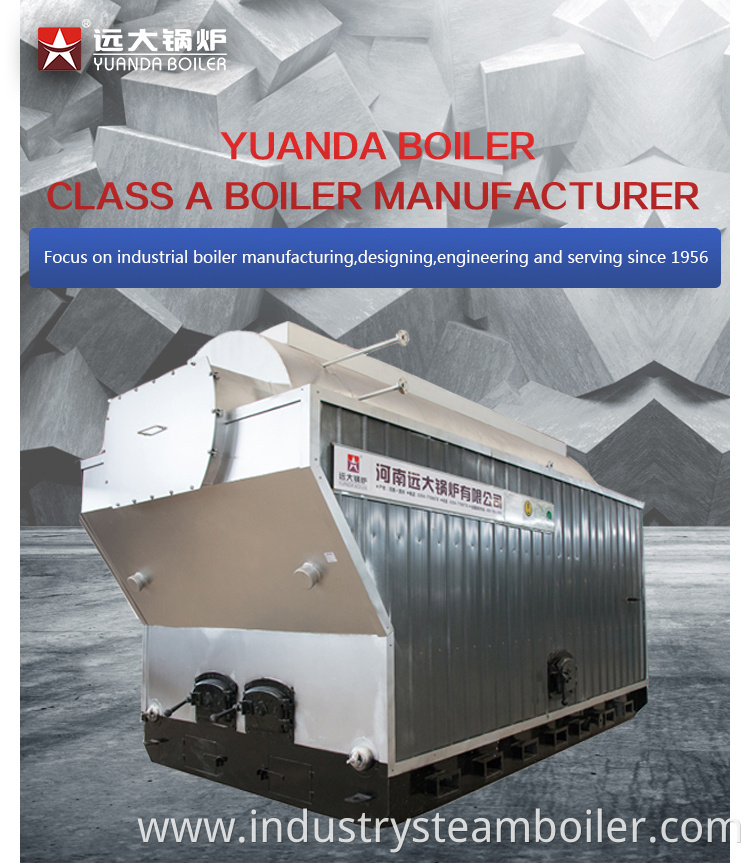 DZH Manual Type Steam Boiler for Rubber Wood
